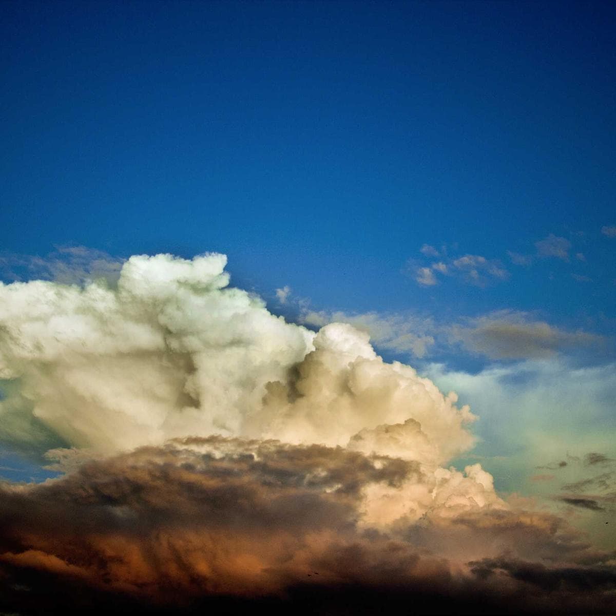 Hızlı ve Güvenli Araçlar